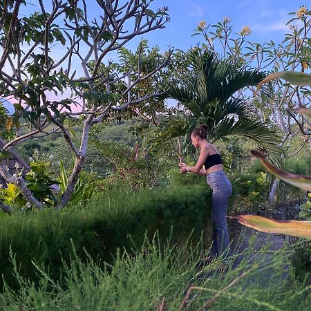 The Pancor Jungle Resort Ped エクステリア 写真